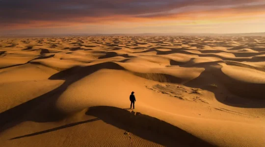 Silhouette solitaire contemplant l'immensité des dunes dorées au lever du soleil dans le Sahara